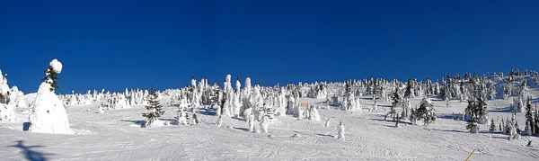 Kanada - Panorama Big White