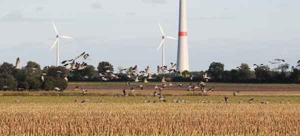 weiter nach süden 2