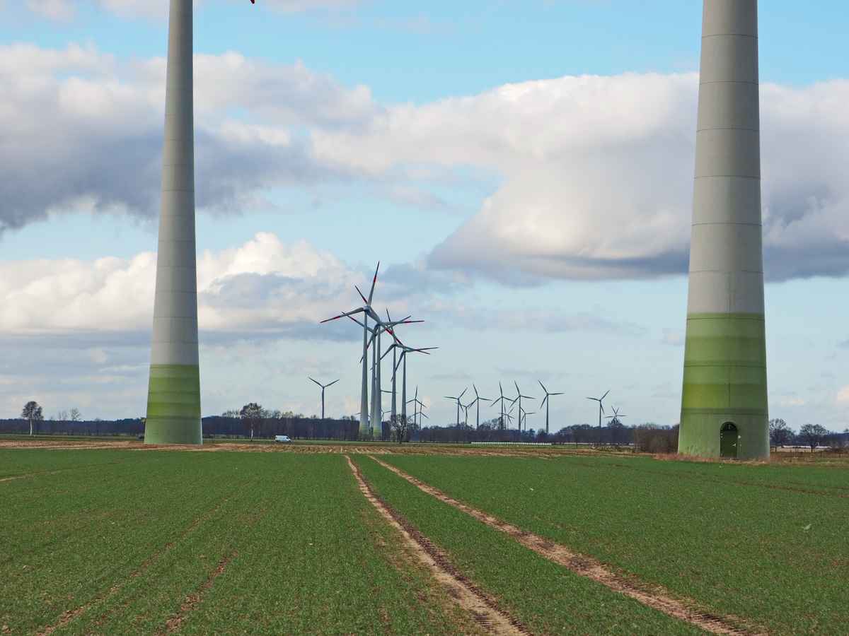 nur für windmüller schön