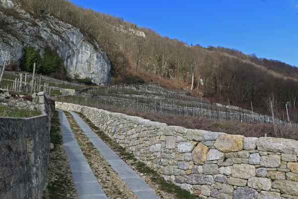 Trockenmauer im Rebgelände