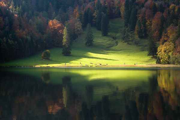 Allgäuer Herbst