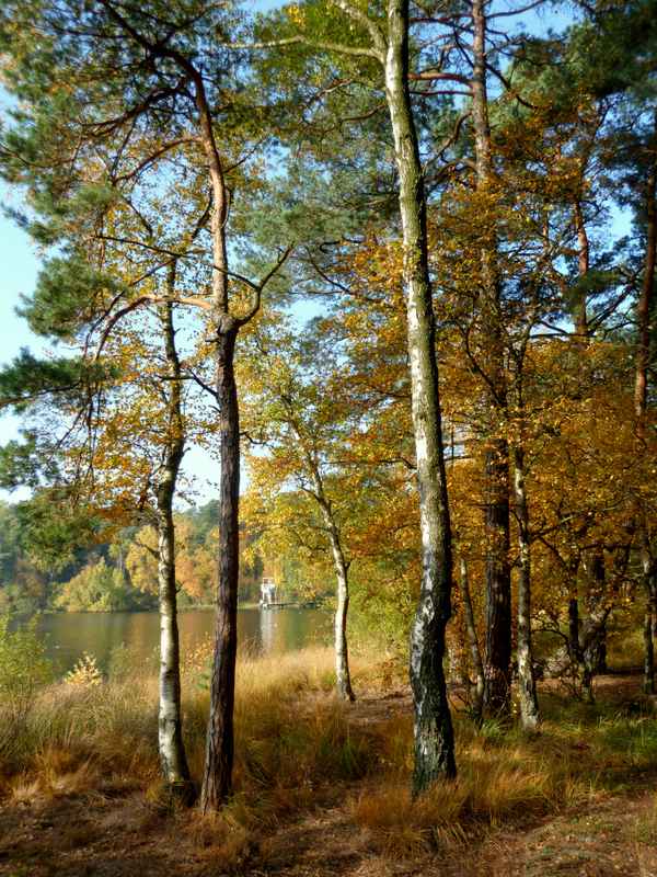 Herbst am Badesee