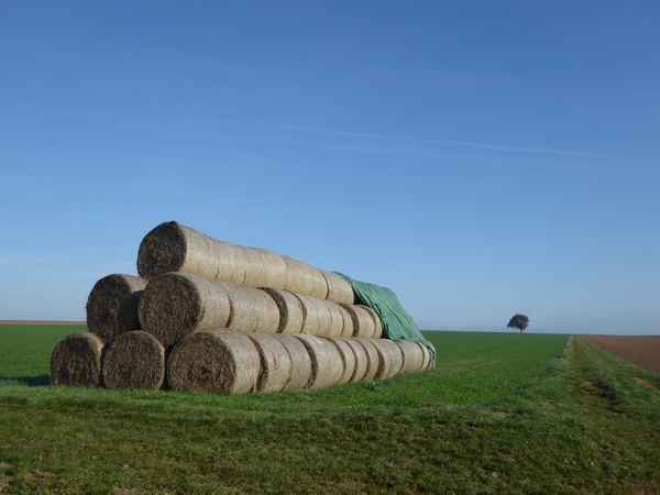 Strohballen auf der Höhe