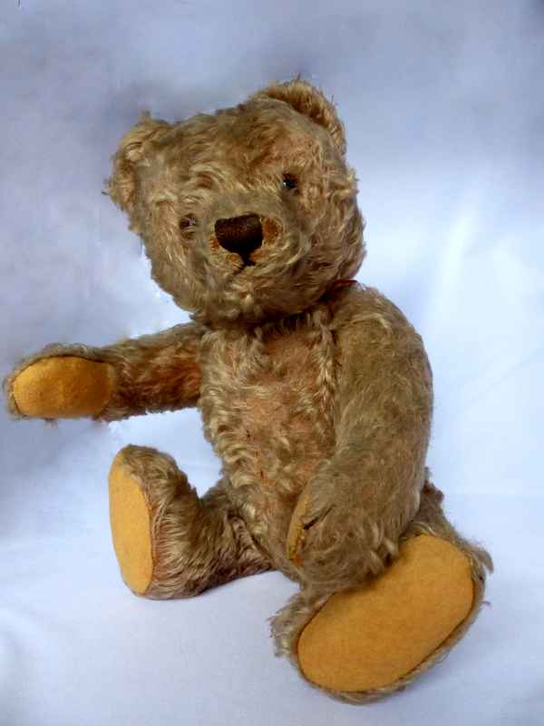 Geheimnisträger Teddybär