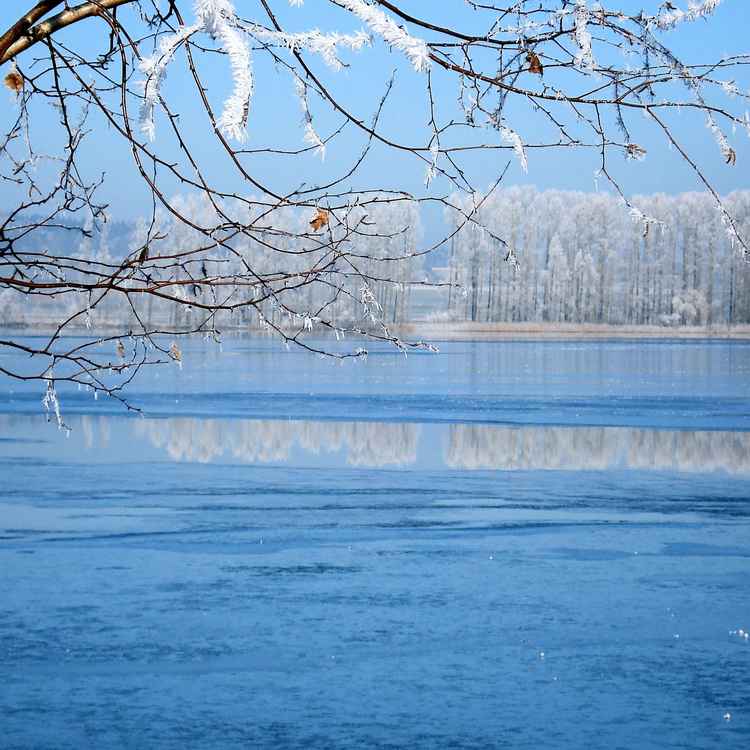Winterlich 2