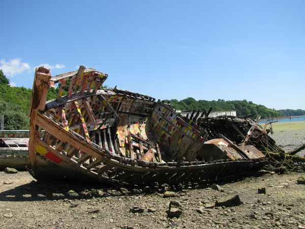 Wrack in der Bretagne