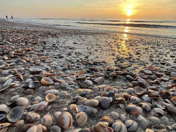 Abends am Strand