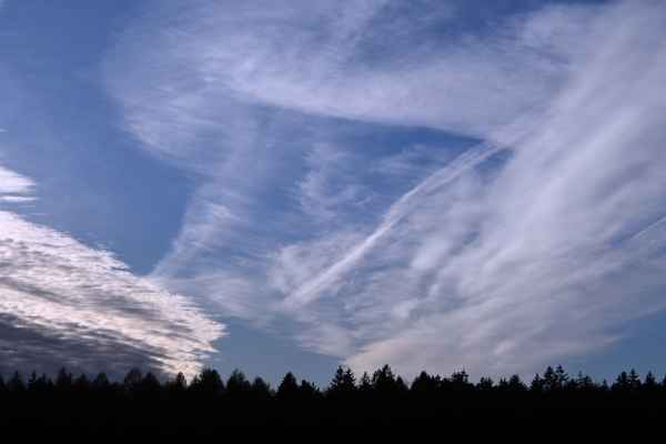 Himmel &uuml;ber Wald