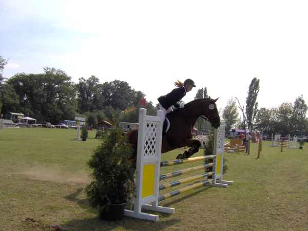 Reitturnier Billberge_2