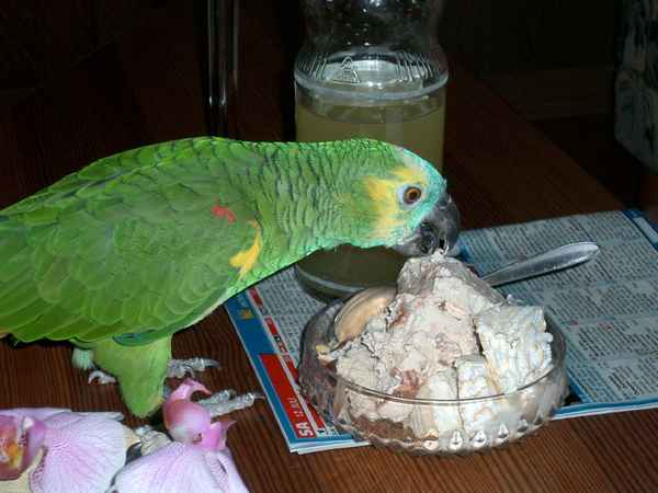 So ein Eis ist lecker...