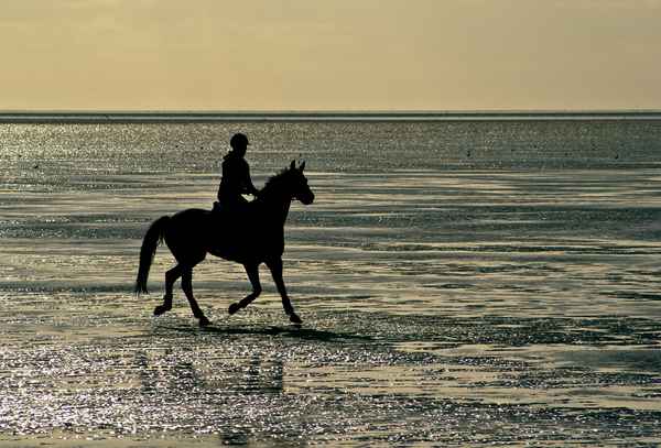 Reiter im Watt
