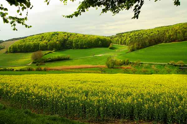Wandern im Mai