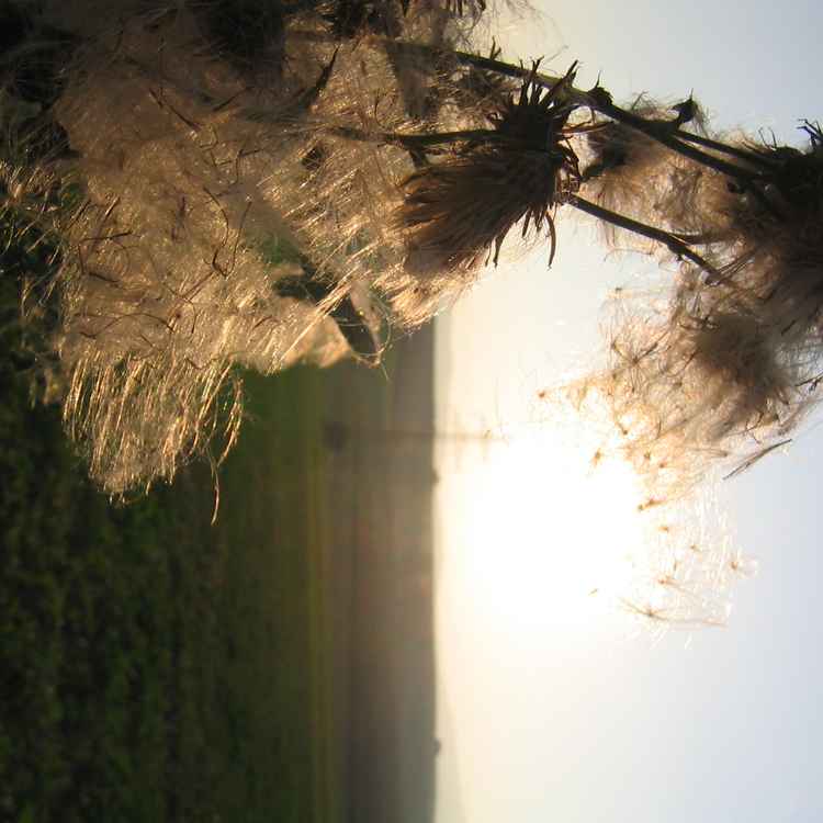 Herbstzauber