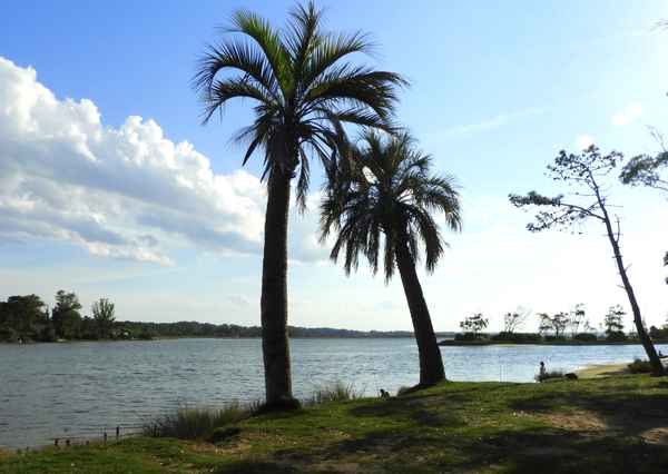 Der Arroyo Maldonado  in Uruguay