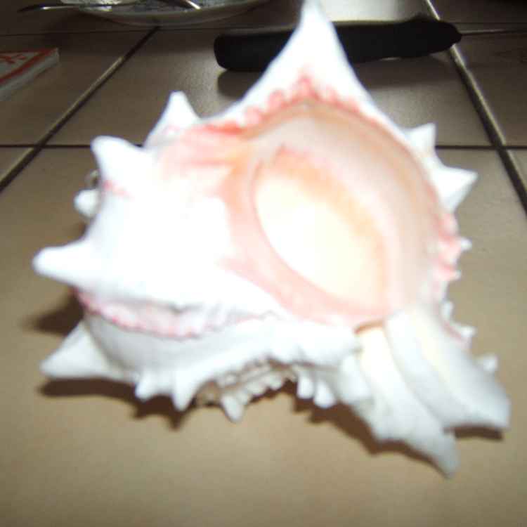 Noch ein Rätsel Lösung