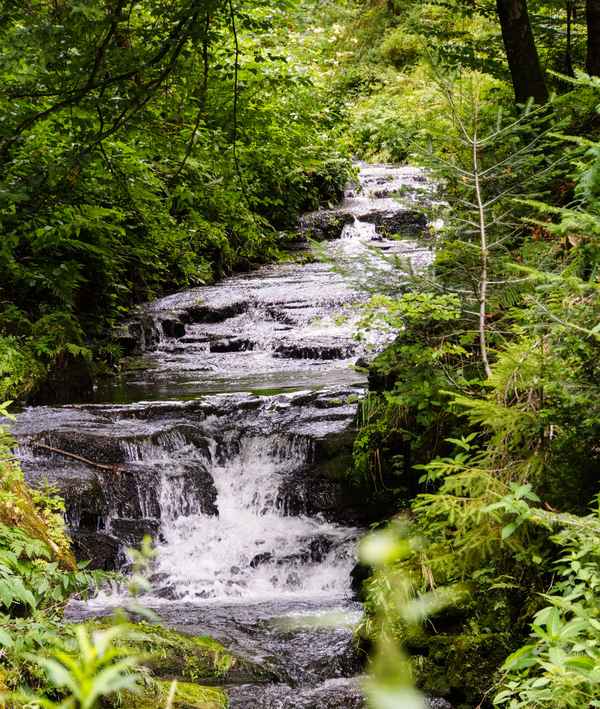 An der Kleinen Kinzig