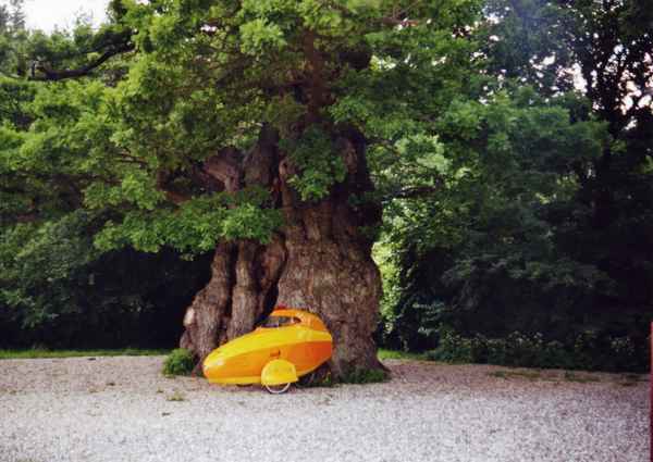 Baum- und umweltfreundlich