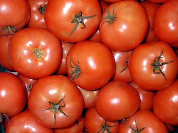tomaten