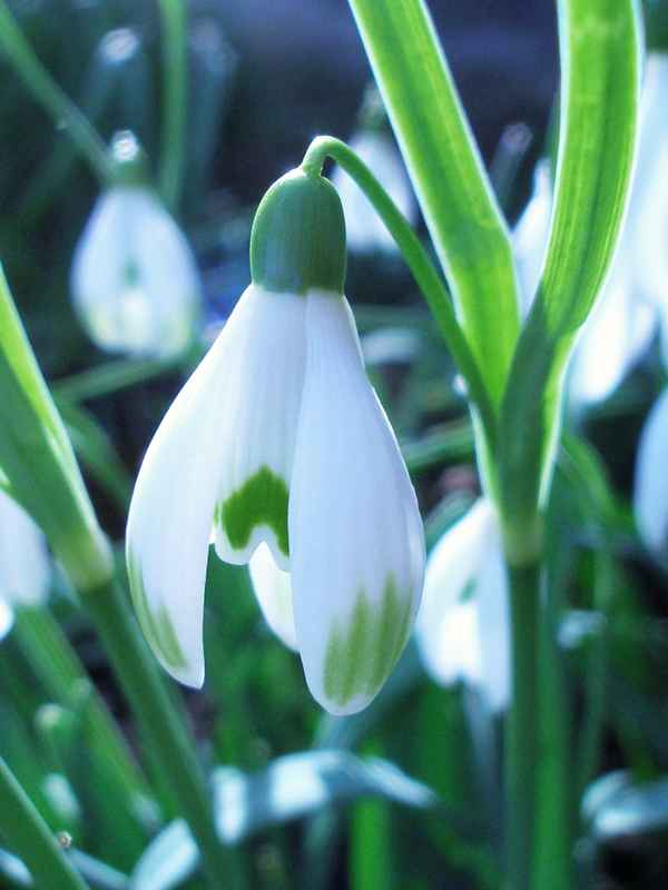 Frühlingsgefühle ...