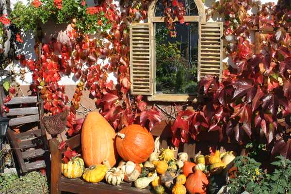  Ein Bauerngarten im Herbst