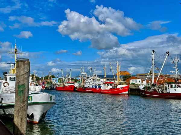 Hafen mit bunten Booten