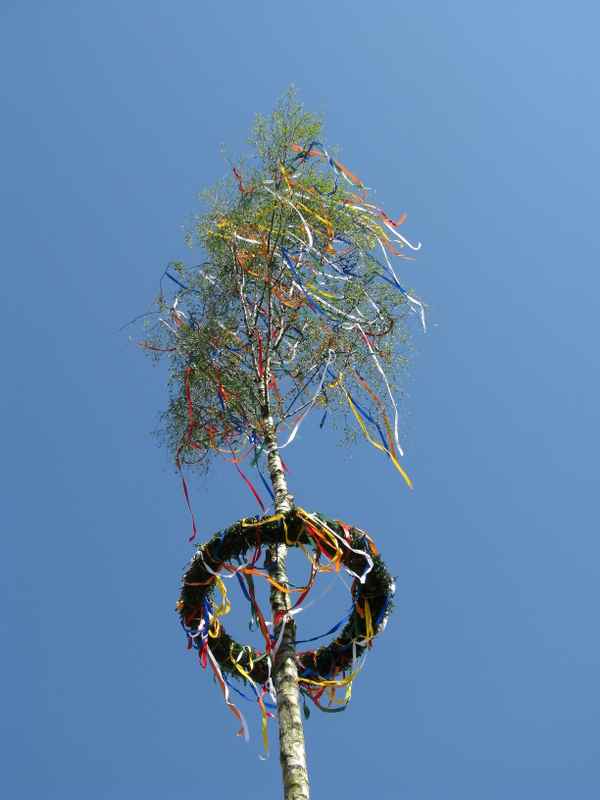 Maibaum