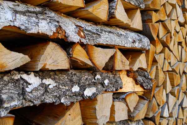 Brennholz3