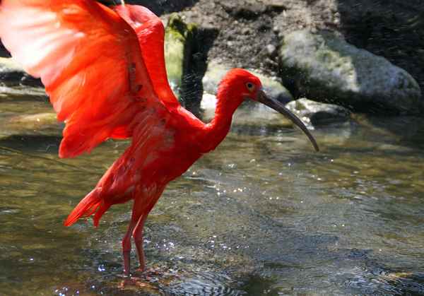 Start zum Landausflug