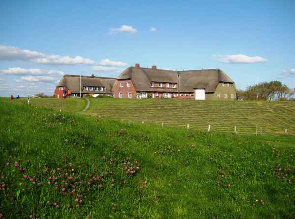 Nordfriesische Halligwelt 3