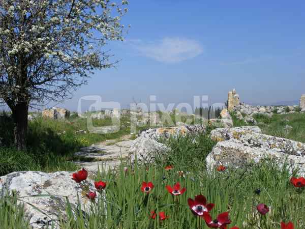 Weg in Hierapolis