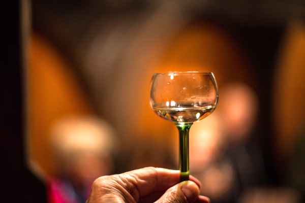 Wein-Probe im Winzer-Keller