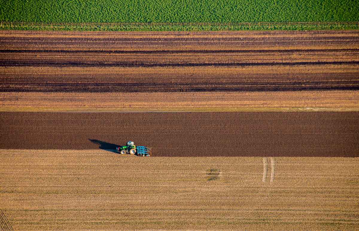 Landwirtschaft aus 383 M N.N. betrachtet