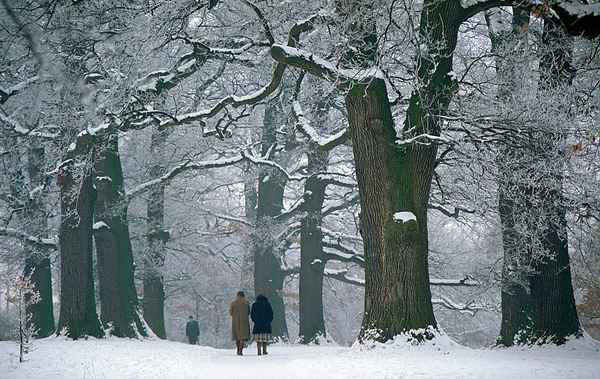 Winterspaziergang