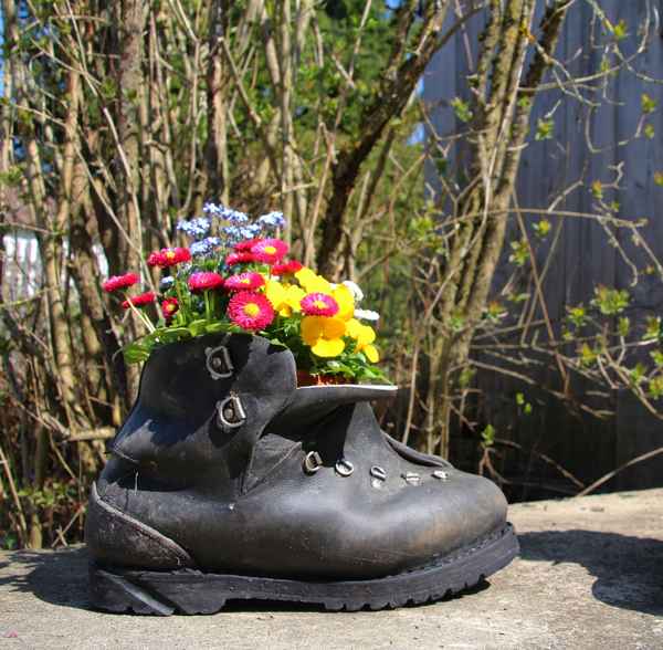 Blumenschuh