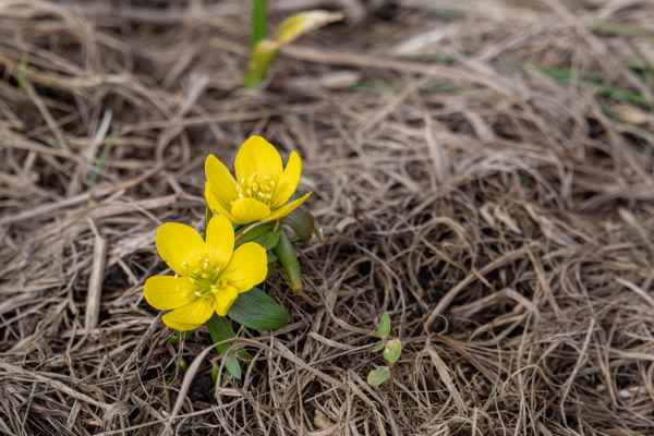 Eine Oase in der Wüste
