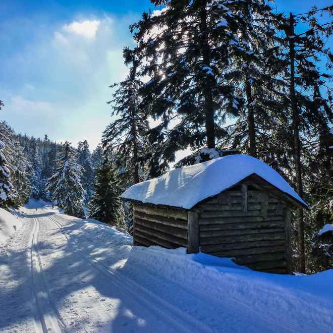 Langlauf-Freuden im Schwarzwald