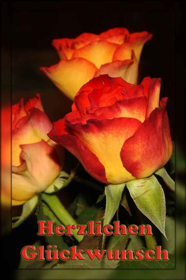 Herzlichen Glückwunsch