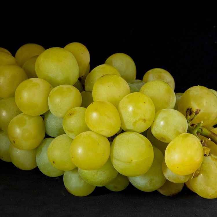 Weisse Trauben