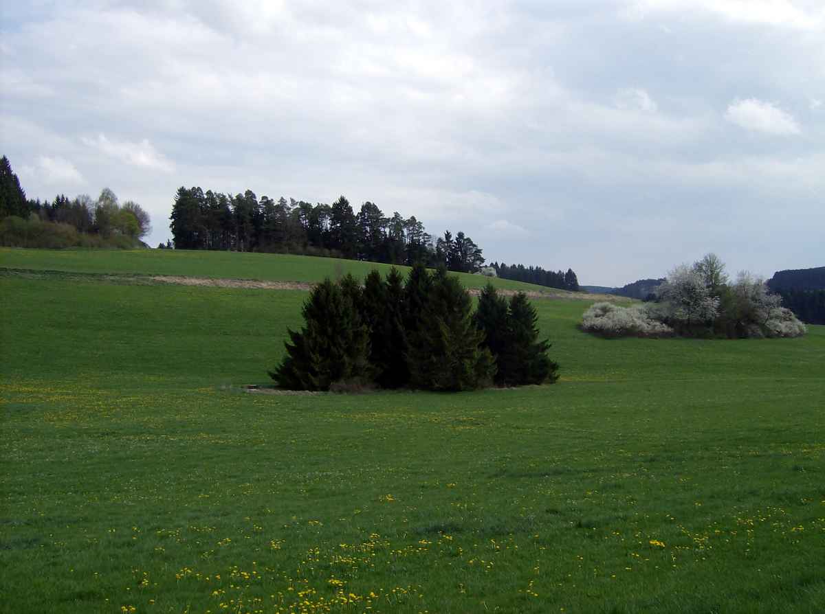 Schöne Aussicht