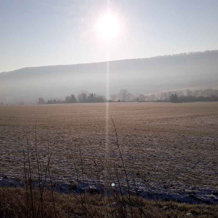 Frostig