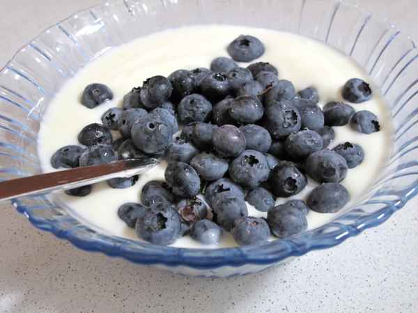 Heidelbeeren mit Joghurt