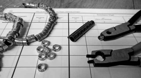 Nachweisbuch mit Ringzange