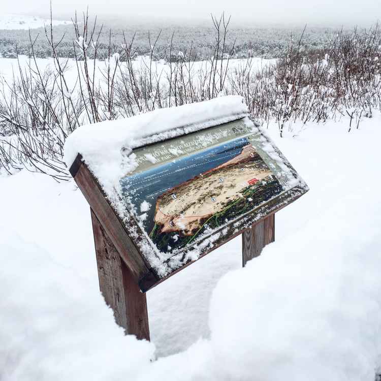 Dünenlandschaft im Winter