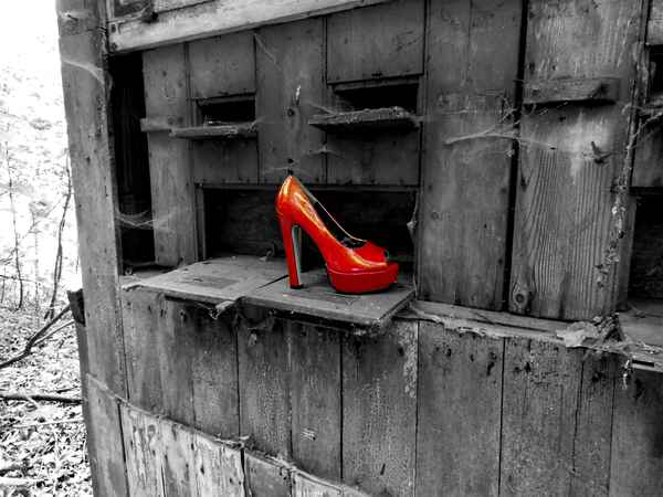 Schuh am "Bienenausflug"