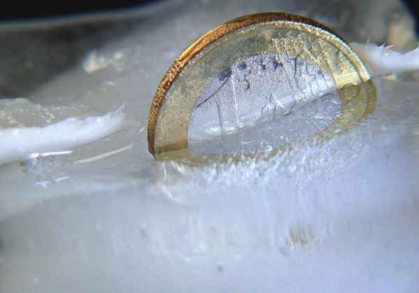 Kosten einfrieren ...