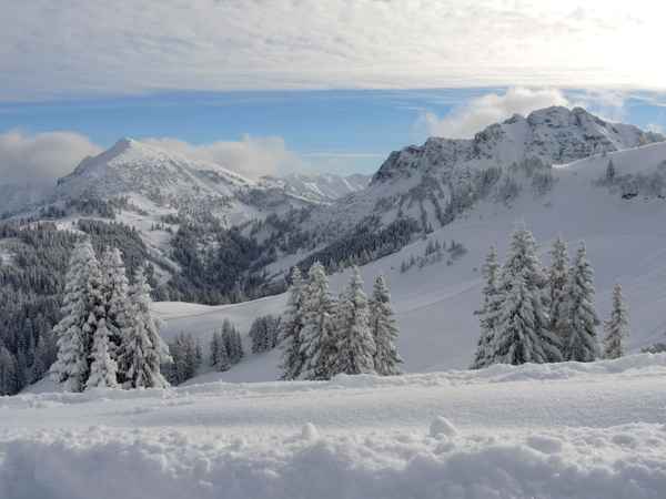 Winter in den Bergen 1