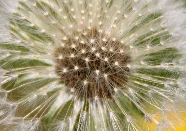 ...bald fliegen wir fort...02