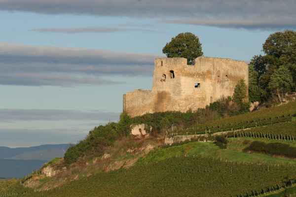 Alte Burgruine im Herbst
