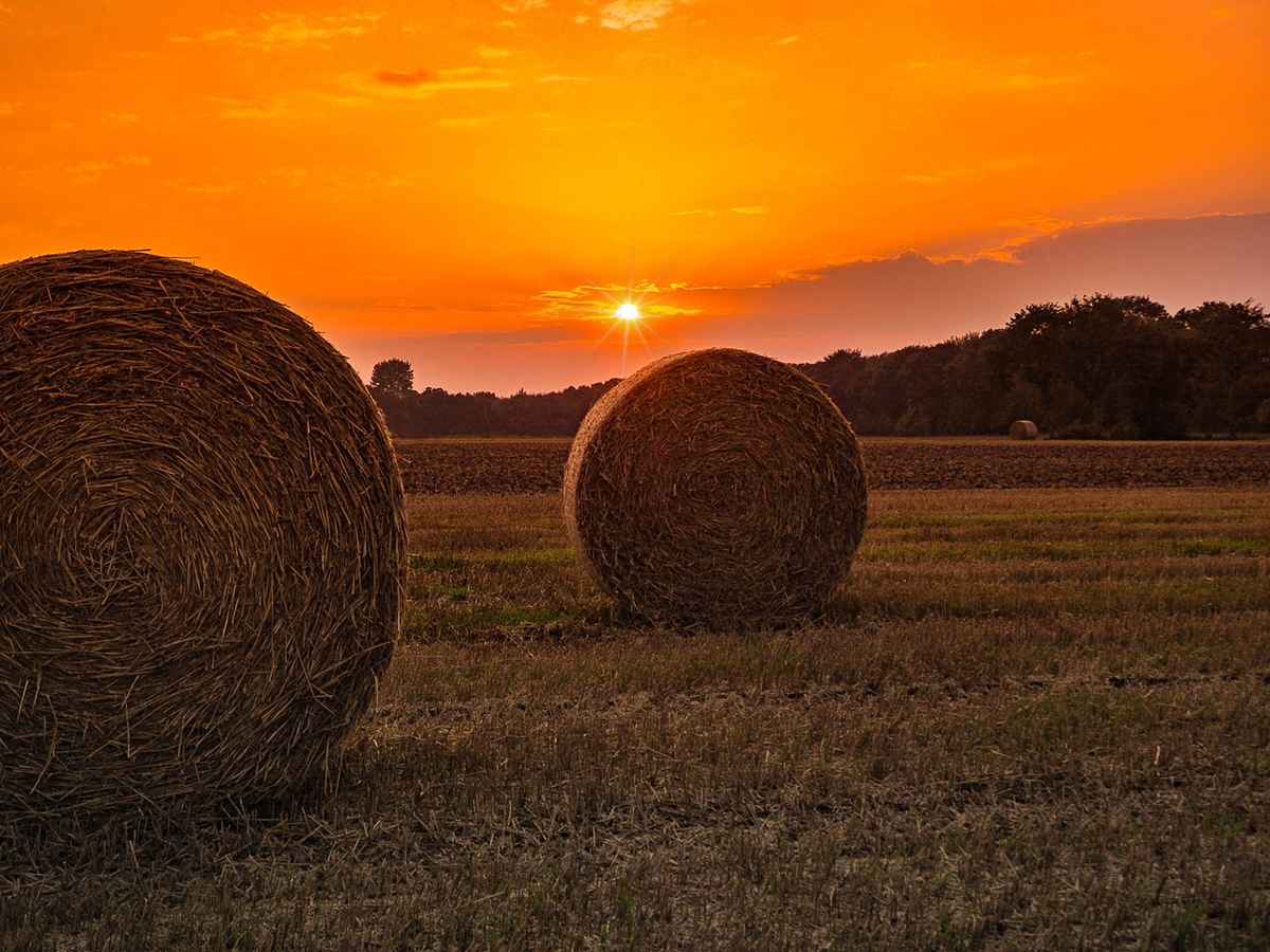 Spätsommer