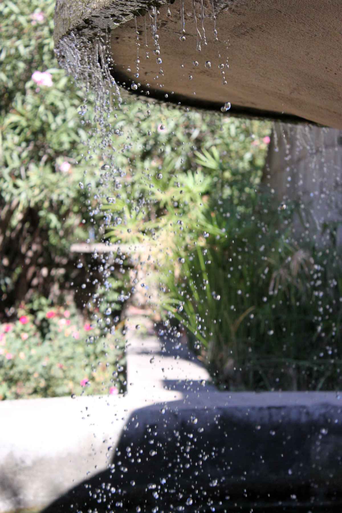 Wassertropfen